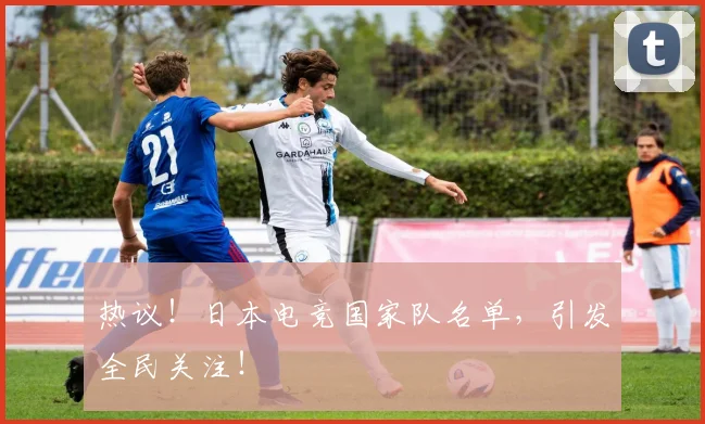 热议！日本电竞国家队名单，引发全民关注！