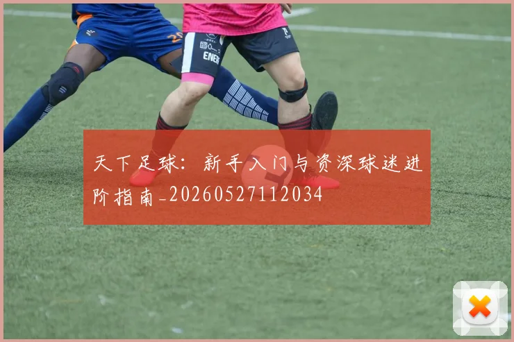 天下足球：新手入门与资深球迷进阶指南_20260527112034